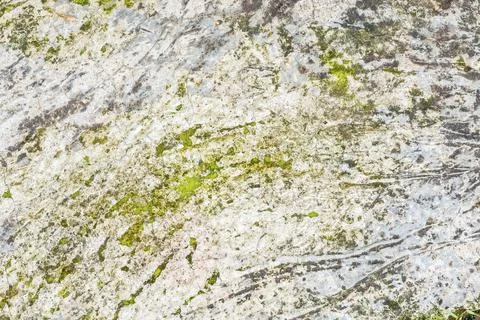 Texture for background Stock Photos