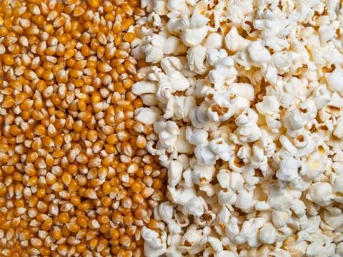 Texture background from ready popcorn and corn kernels Stock Photos