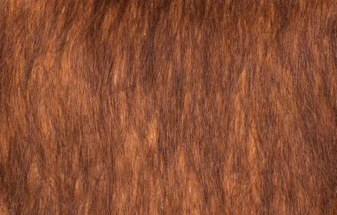 Texture background of red and brown horsehair Foto stock