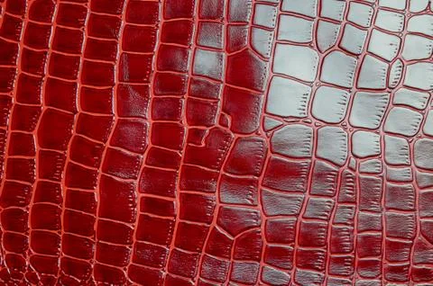 Texture for background red leather crocodile glossy top view Stock Photos