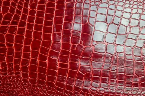 Texture for background red leather crocodile glossy top view Stock Photos