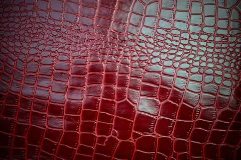 Texture for background red leather crocodile glossy top view Stock Photos
