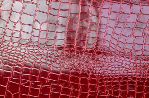 Texture for background red leather crocodile glossy top view Stock Photos