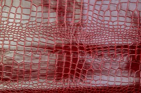 Texture for background red leather crocodile glossy top view Stock Photos