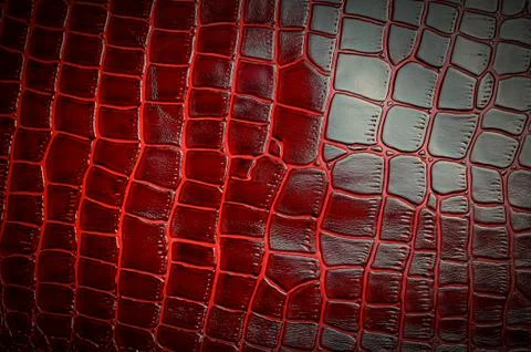 Texture for background red leather crocodile glossy with vignette top view. Stock Photos