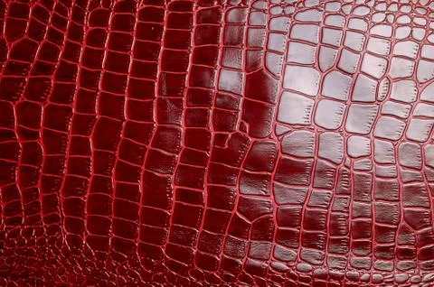 Texture for background red leather crocodile glossy top view Stock Photos