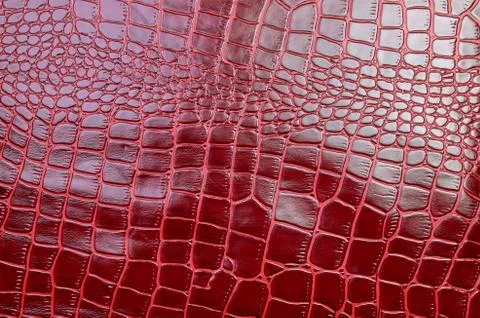 Texture for background red leather crocodile glossy top view Stock Photos