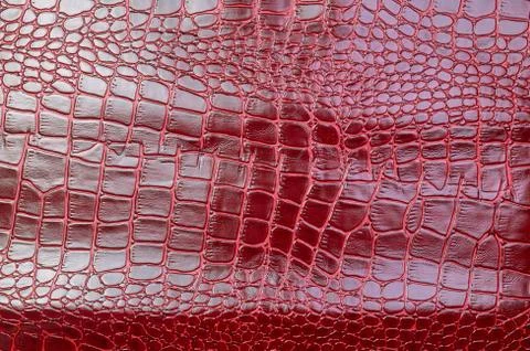 Texture for background red leather crocodile glossy top view Stock Photos