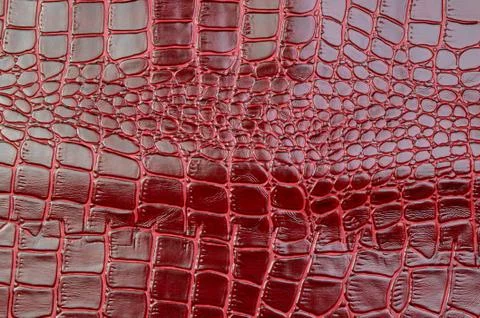 Texture for background red leather crocodile glossy top view Stock Photos