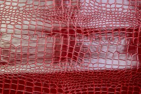 Texture for background red leather crocodile glossy top view Stock Photos