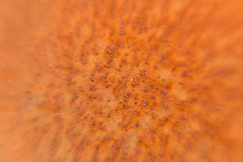 Texture background of rusty steel sheet. Brown. Фото