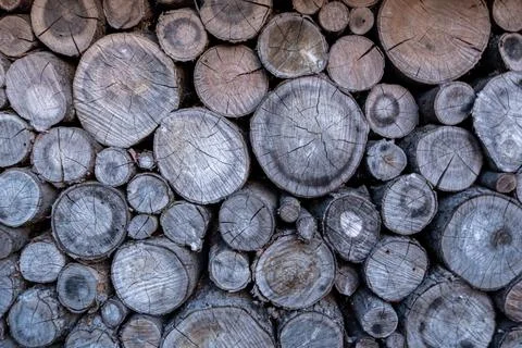Texture Background of Stacked Firewood Logs End Cuts Fotos Stock