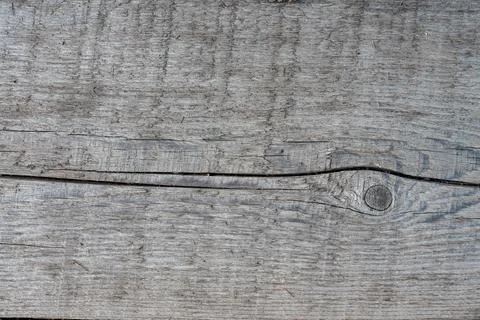 Texture Background of an tree with knots and cracks. Gray sawn wooden board. Stock Photos