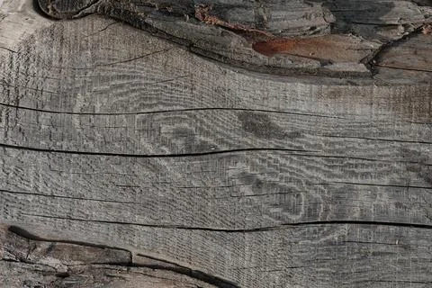 Texture Background of an tree with knots and cracks. Gray sawn wooden board. Stock Photos