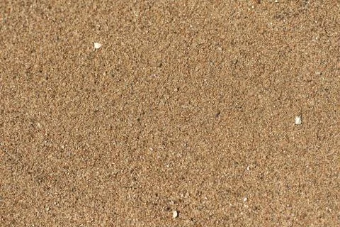 Texture background of wet river sand, on a bright sunny day Stock Photos