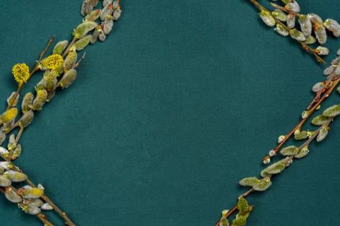 On the texture background, the willow branches are laid before Easter, the te Stock Photos