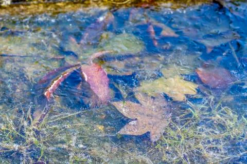 Texture, backgrounds, abstraction. Frozen puddle Stock Photos