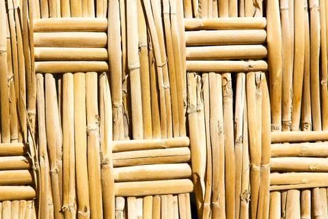 Texture bamboo in morocco Stockfoto's