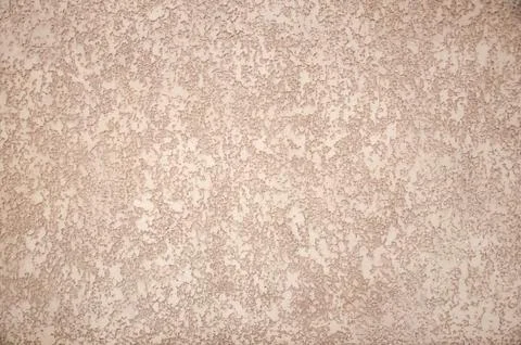 Texture bark beetle close up Stock Photos