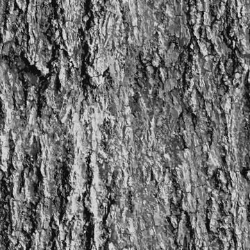 Texture bark shape with seamless background. Stock Illustration