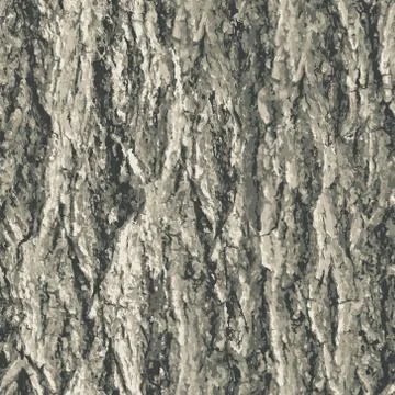 Texture bark shape with seamless background. Illustrazione stock