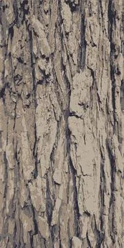 Texture of the bark of a tree. Wood bark. Vector illustration Stock Illustration