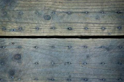 Texture of bark wood Stock Photos