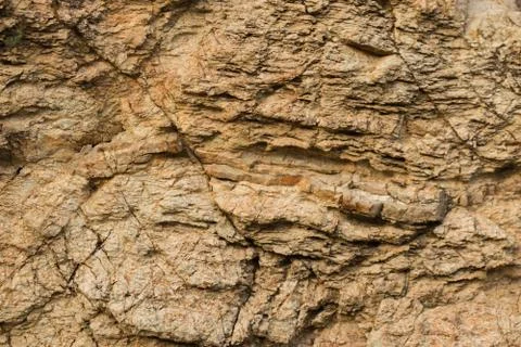 Texture of a beach rock. Stock Photos