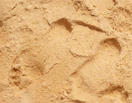 Texture of beach sand background Stock-Fotos