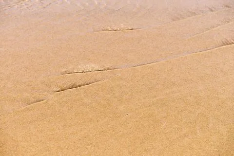 Texture beach sandy surface with ripples formed 库存照片