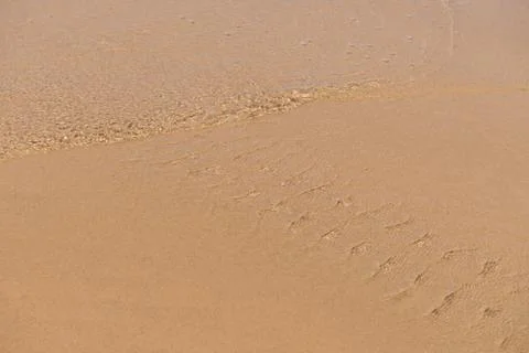 Texture beach sandy surface with ripples formed Photos