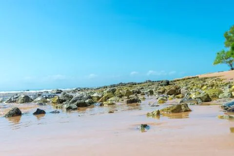 Texture beach sandy surface with ripples formed Stock Photos