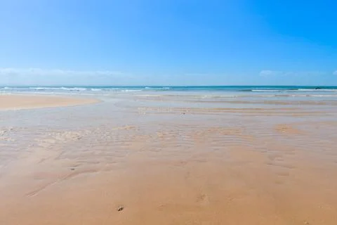 Texture beach sandy surface with ripples formed 库存照片