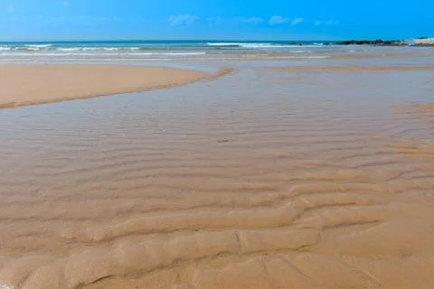 Texture beach sandy surface with ripples formed 库存照片