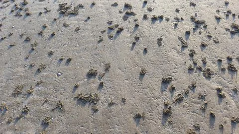 The texture of the beach soil forms a natural pattern due to sea water and .. Stock Photos
