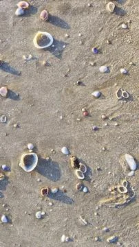 The texture of the beach soil forms a natural pattern due to sea water and .. Stock Photos