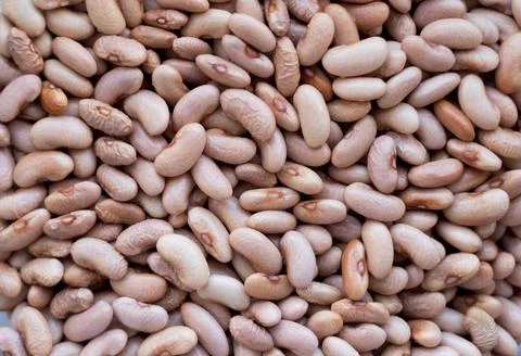 Texture with beans. Culinary background with dry beans. Stock Photos
