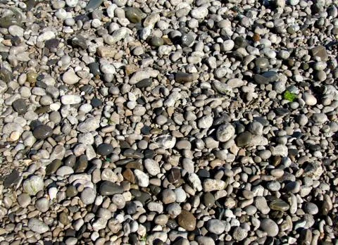 The texture of the beautiful sea pebbles Stock Photos