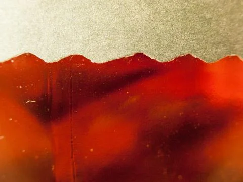 Texture of a beer in a bottle from the side Stock Photos