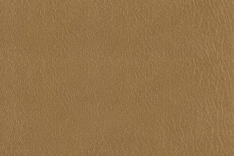 Texture of beige leather close up. Fotos de archivo