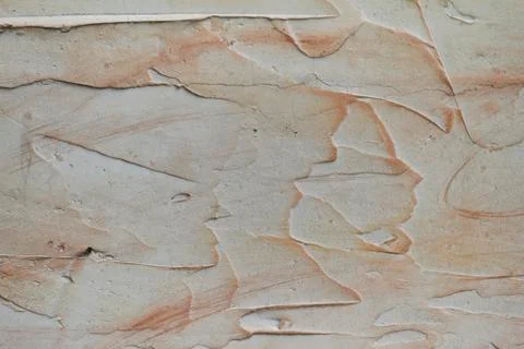 Texture of beige. Textured background. Decorative plaster walls, external dec Illustrazione stock
