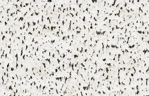 Texture of birch bark. Distressed white textured surface with dark irregular Stock Illustration