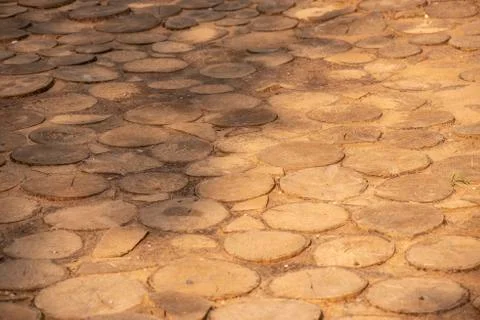Texture of birch hemp Stock Photos