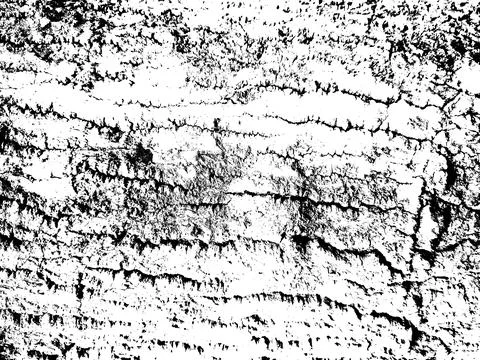 Texture Black and white effect, Artistic Texture With JPG format 스톡 사진
