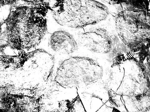 Texture Black and white effect, Artistic Texture With JPG format 스톡 사진