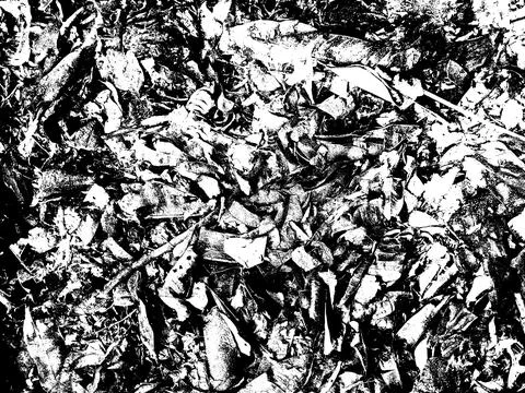 Texture Black and white effect, Artistic Texture With JPG format 스톡 사진