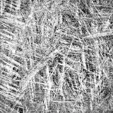 Texture black and white grunge Фото