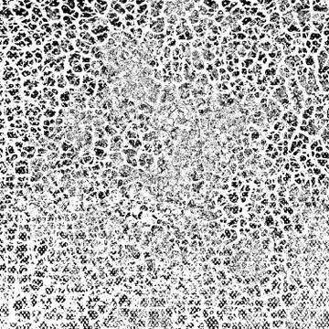 Texture black and white grunge. Background of cracks, chips, scuffs. Vintage  Фото