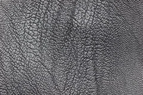 Texture of black leather. Stock Photos