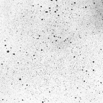 Texture of Black Paint Splatter on White Paper Stock Illustration